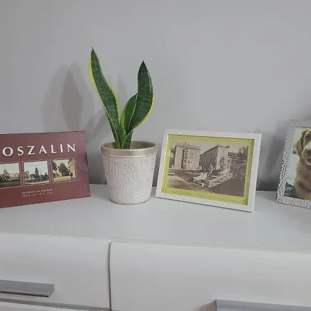 Paw Apartament. Rodzinny, Super Apartament. *